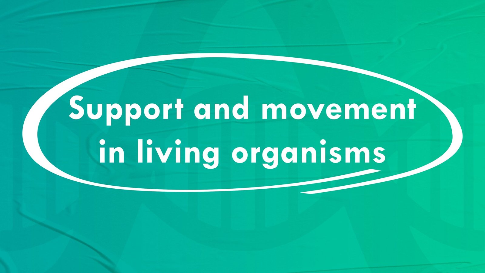 Support and movement in living organisms