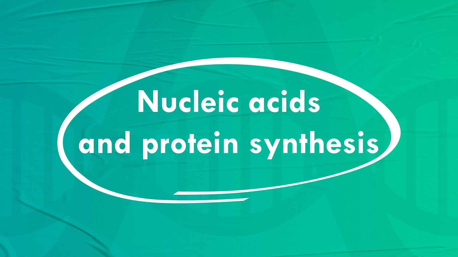 Nucleic acids and protein synthesis